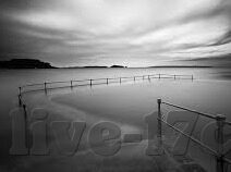 秋葵视频麻豆-秋葵视频与麻豆现象，网络文化的多元视角